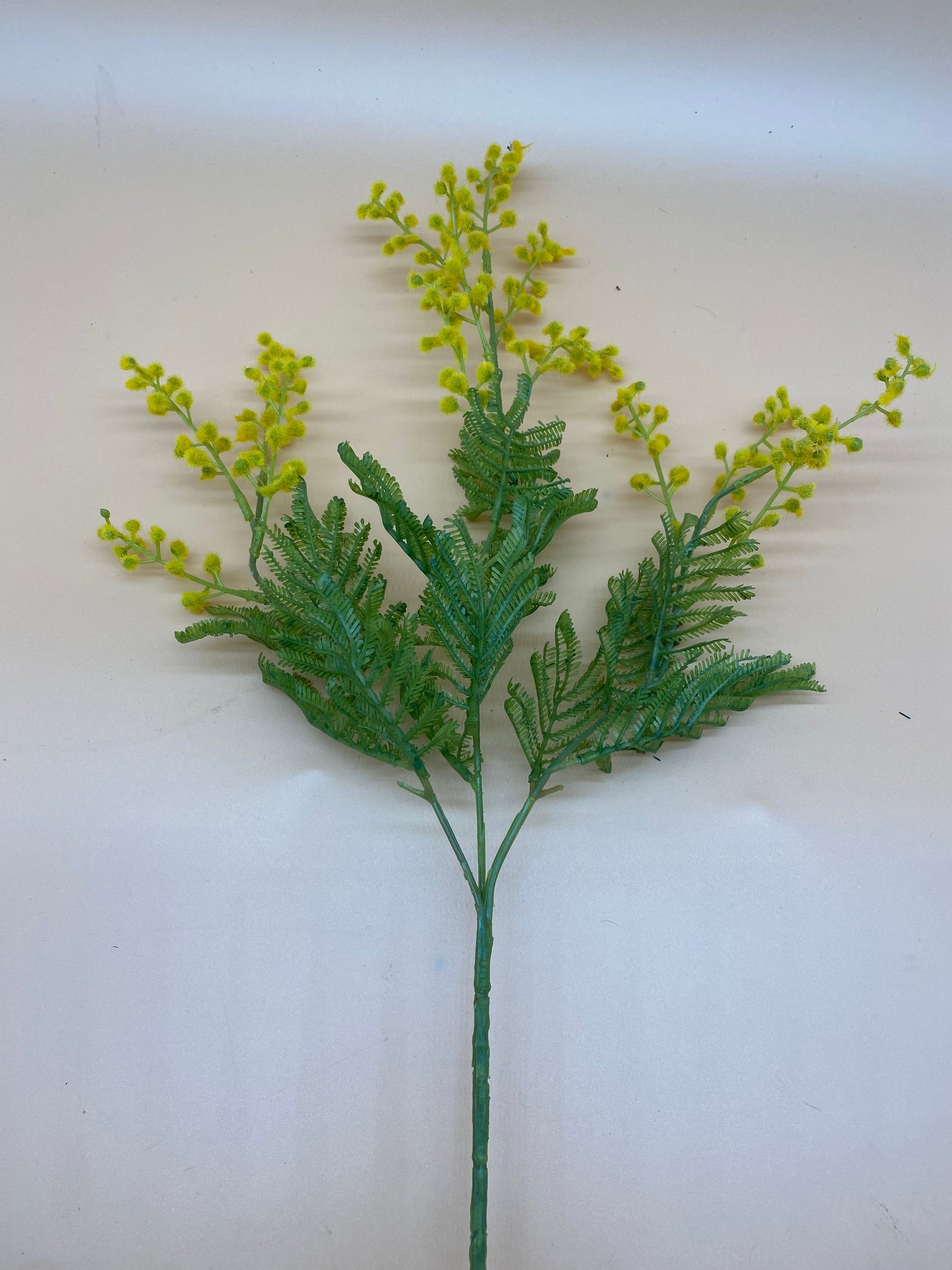 Faux Mimosa