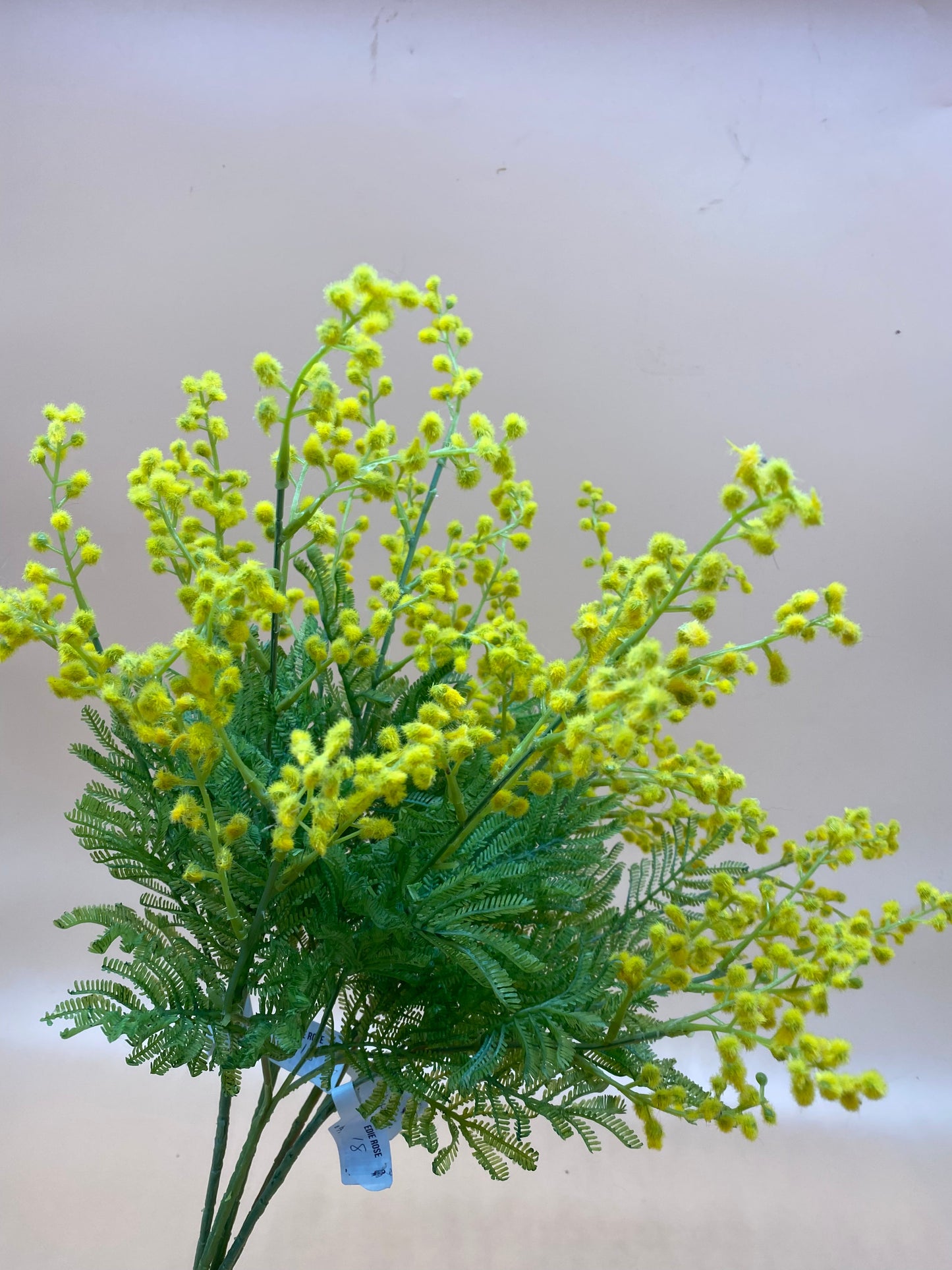 Faux Mimosa