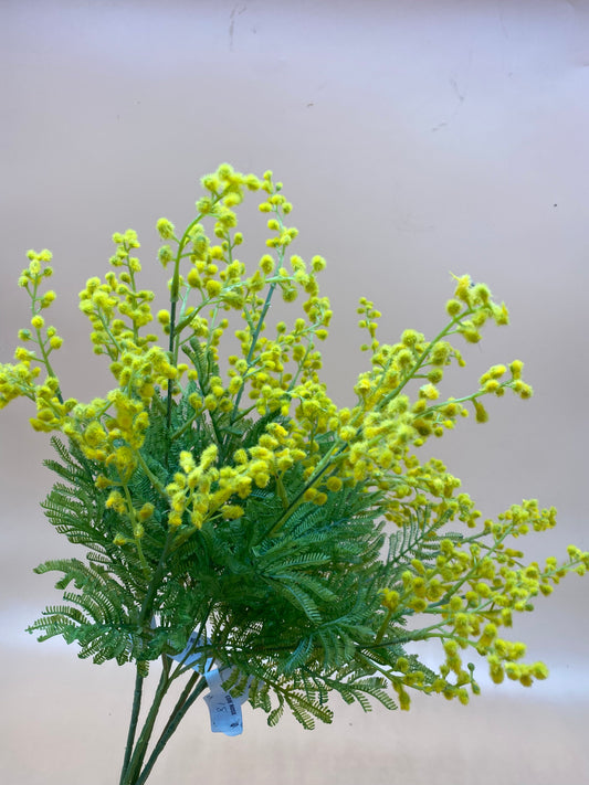 Faux Mimosa
