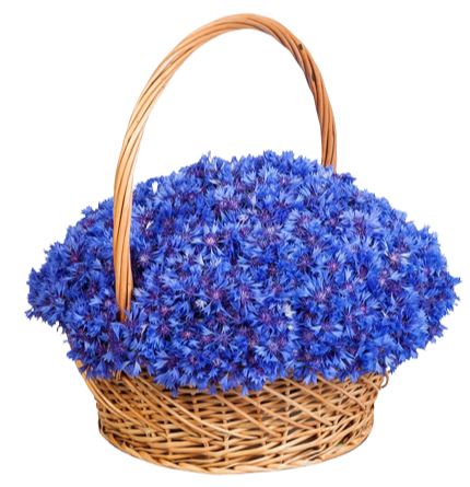 Cornflowers in Basket