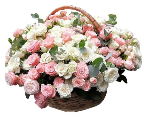 Luxury Pink and White Spray Roses in Basket